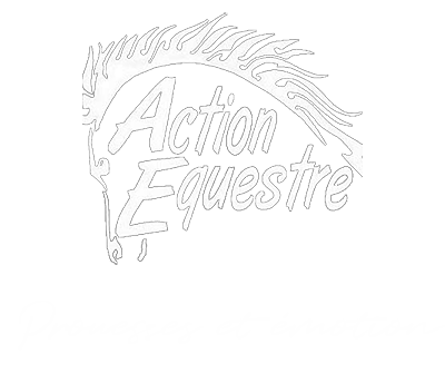 Action Equestre Prouesse et Emotion