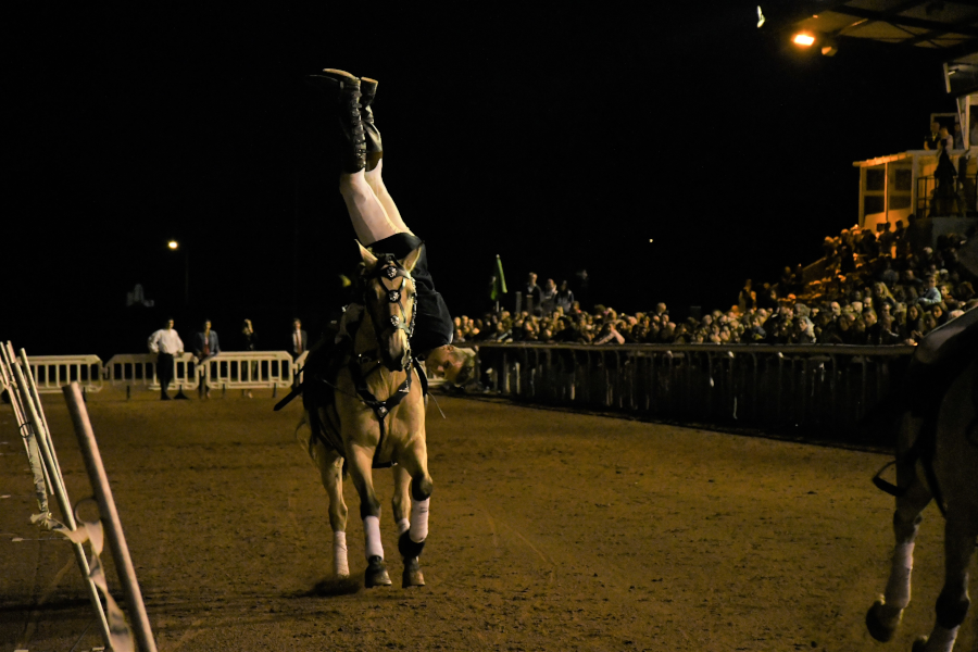 Action equestre spectacle contemporain
