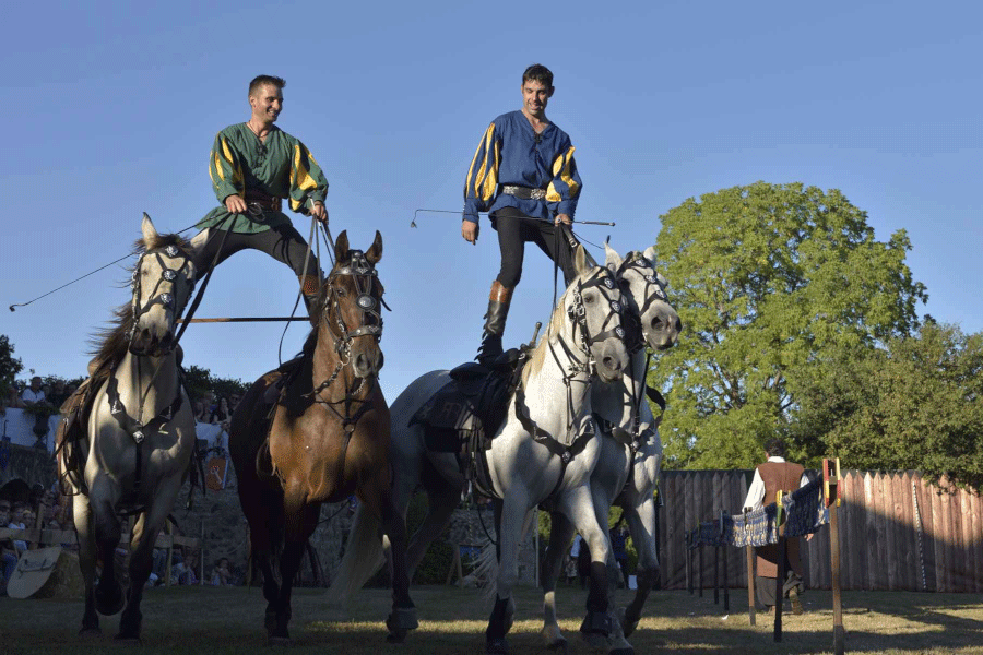 Action equestre course poste hongroise